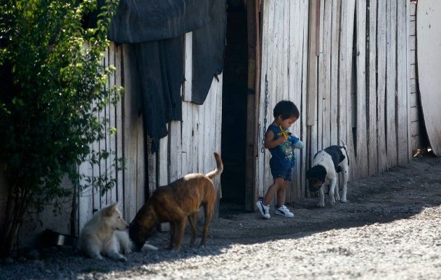 Hallan presencia de plaguicidas en niños de zonas rurales de Talca: uno de estos está prohibido hace 18 años