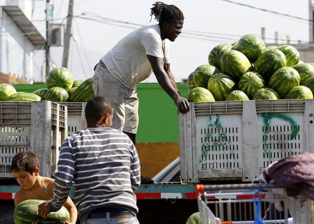 Gobierno pidió perdón a más de 200 mil niños que trabajan en Chile